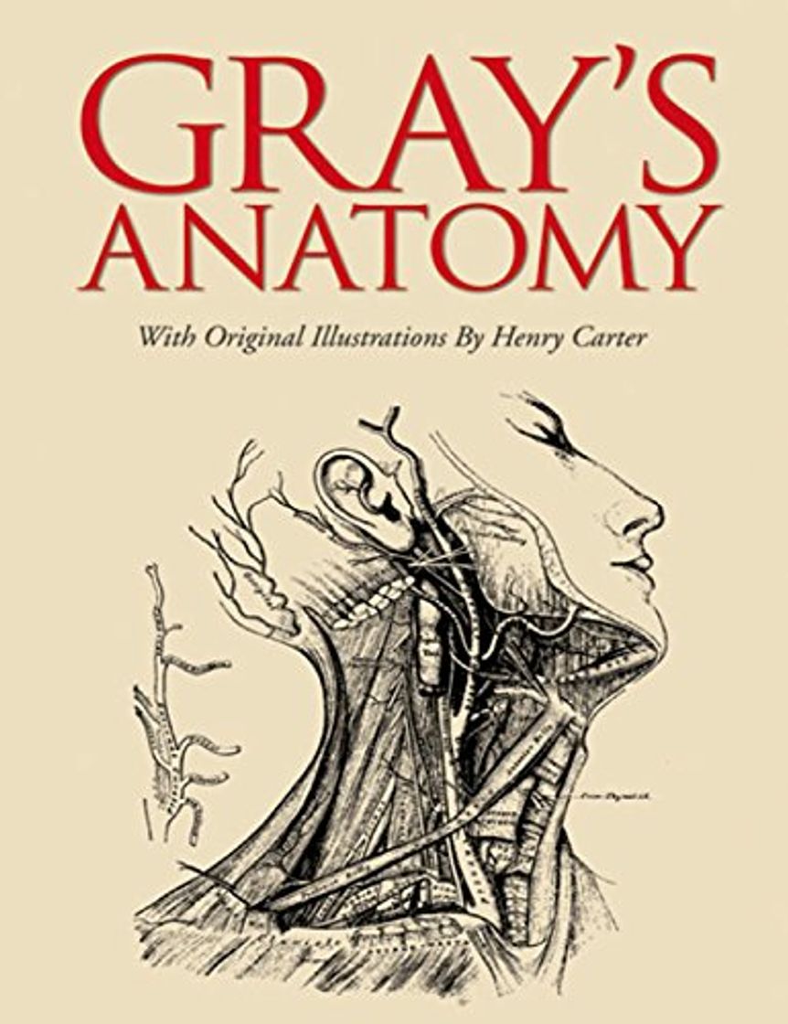 Libro Grays Anatomy