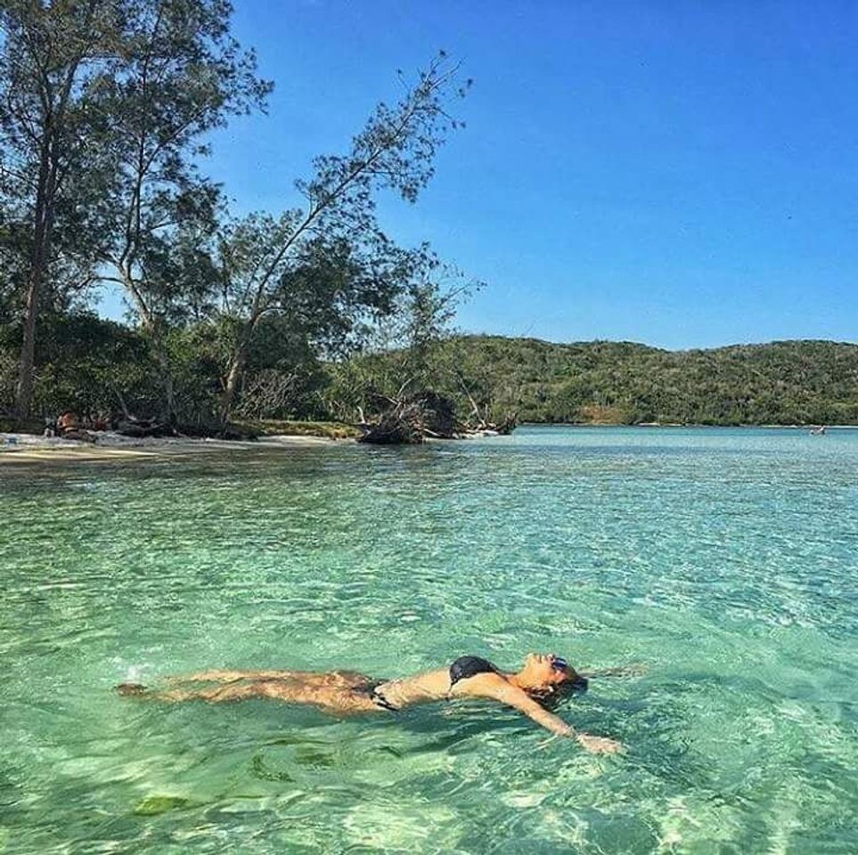 Lugar Ilha do Japonês