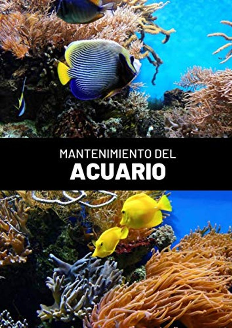 Book Mantenimiento del Acuario: Este cuaderno te permitirá llevar un registro completo del