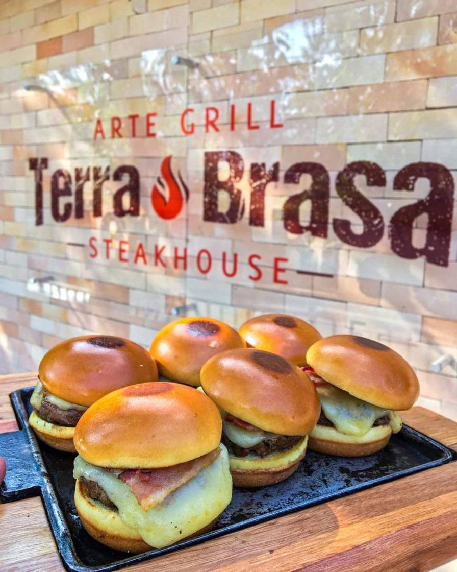 Restaurantes Terra Brasa Arte Grill & Steakhouse