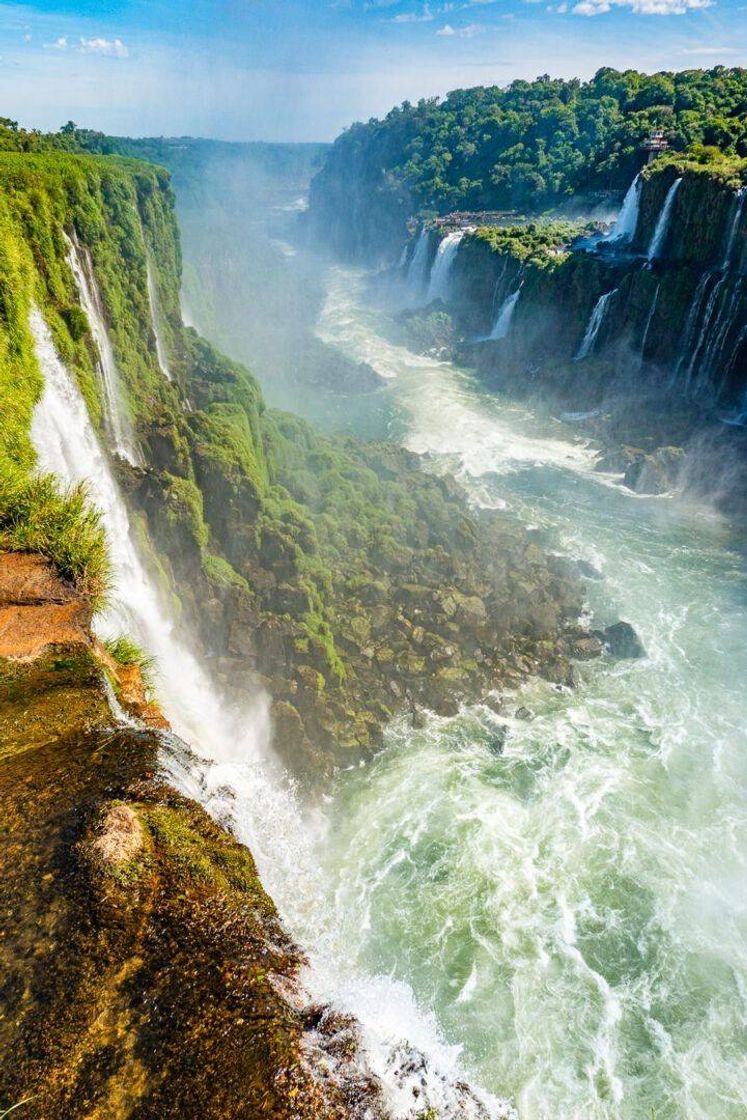 Social Foz do Iguaçu 