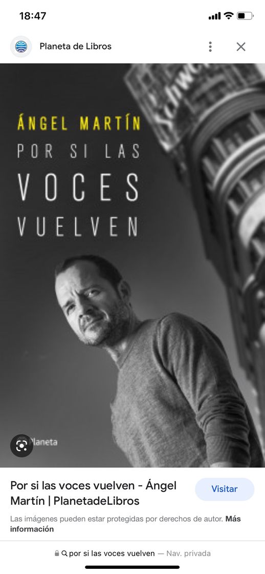 Book Por si las voces vuelven