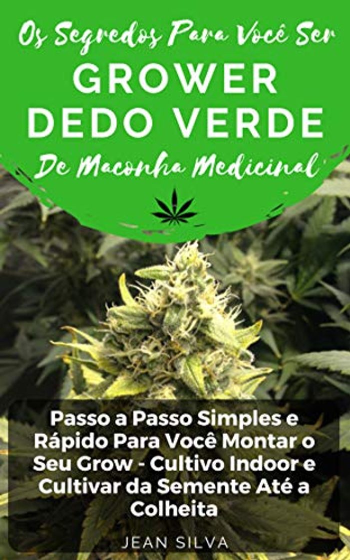 Books Os Segredos Para Você Ser Grower Dedo Verde de Maconha Medicinal: Passo