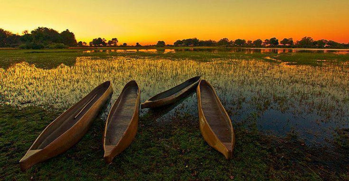 Place Delta del Okavango