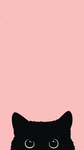 wallpaper de gatinho