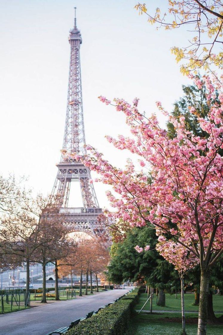 Fashion França🇫🇷