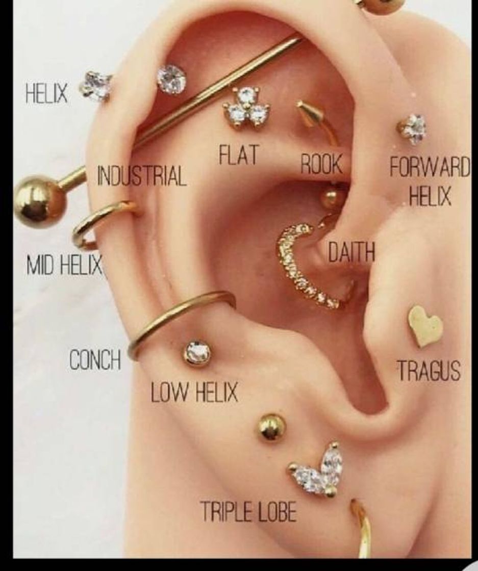 Fashion Ideias de piercings