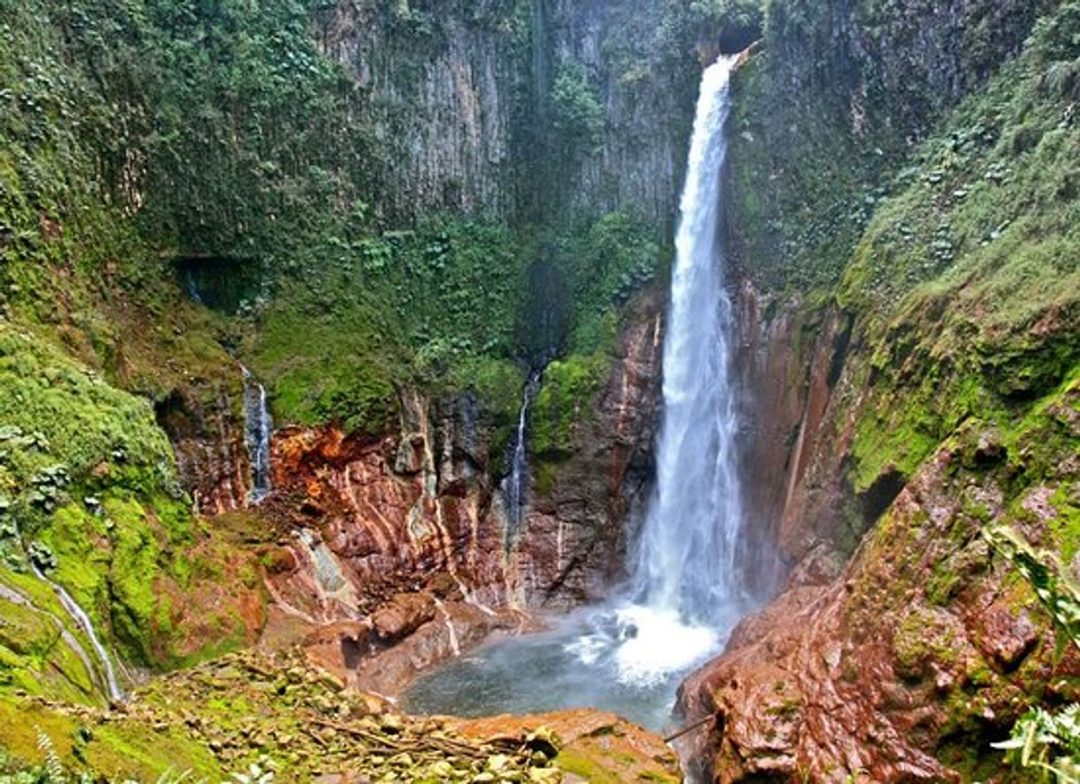 Places Bajos del Toro