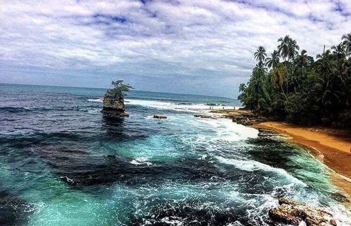 Lugar Playa Manzanillo