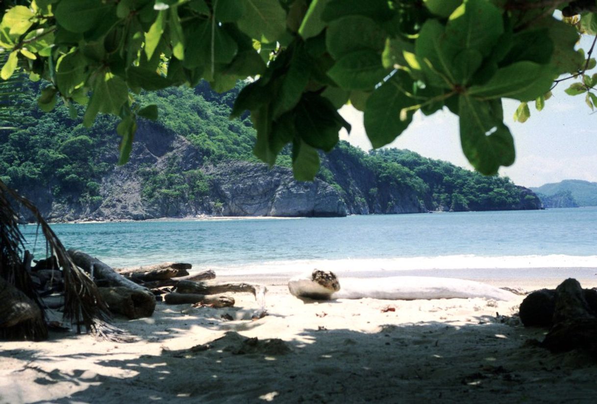 Lugar Isla Tortuga, Costa Rica