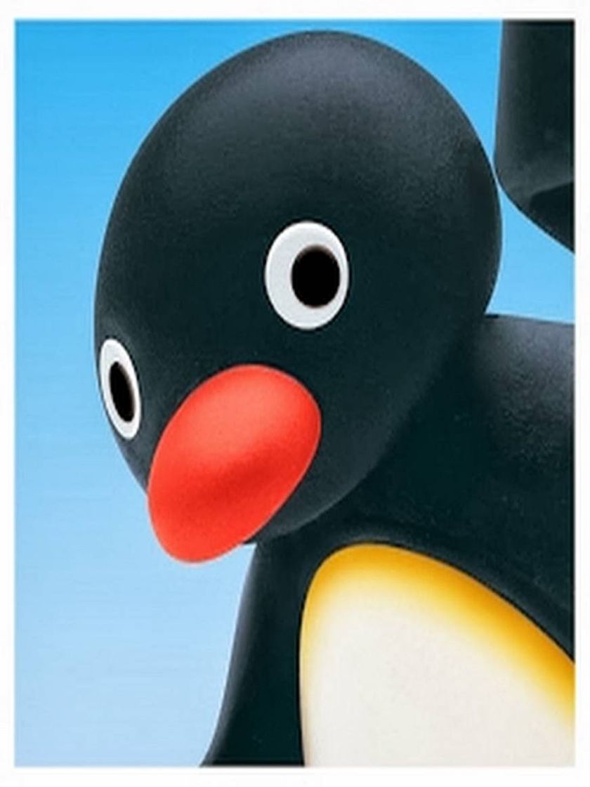 Fashion Pingu