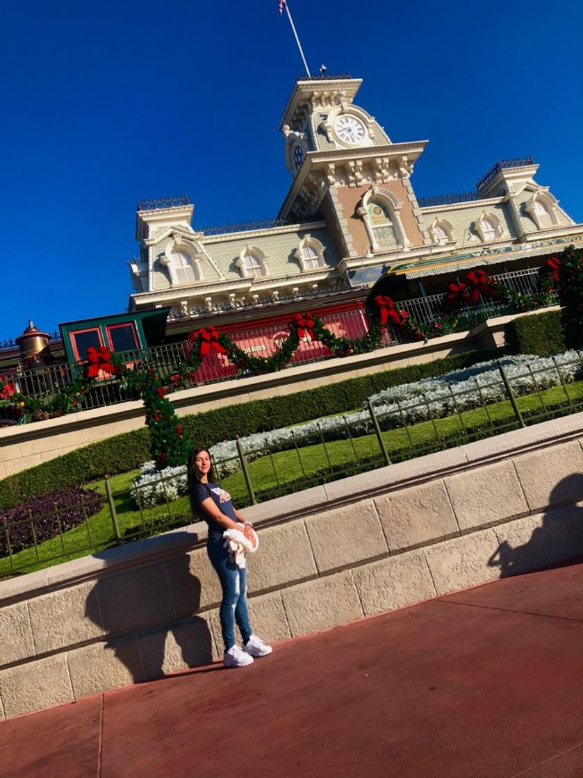 Place Magic Kingdom