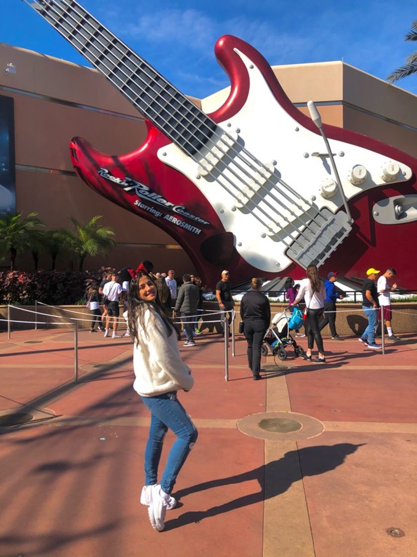 Place Rock 'n' Roller Coaster Starring Aerosmith