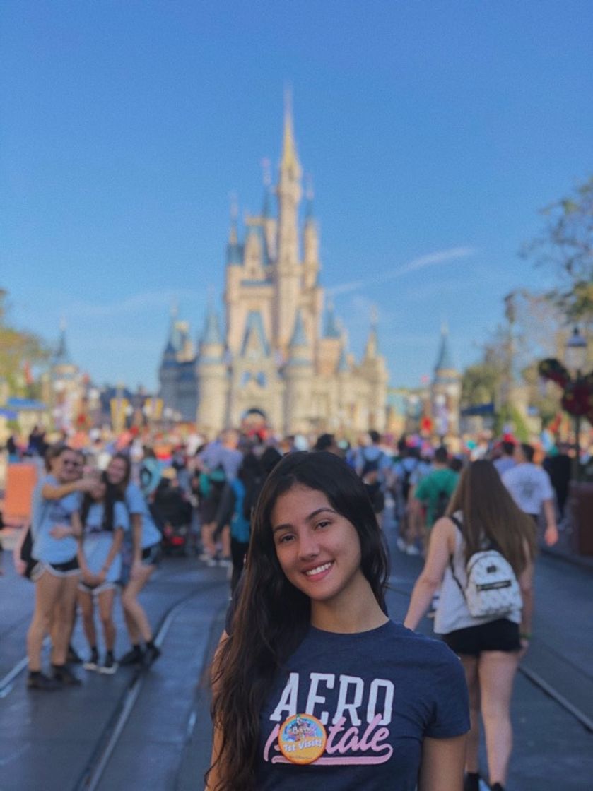 Place Disney World