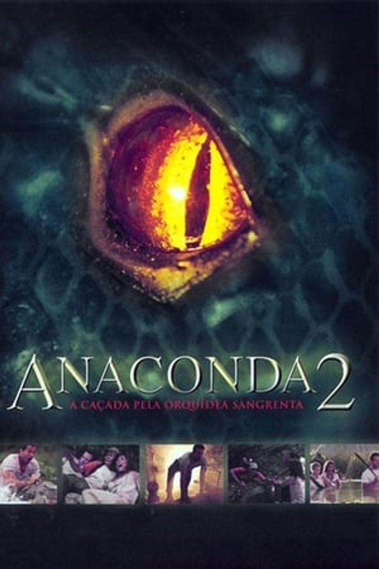 Película Anacondas: The Hunt for the Blood Orchid