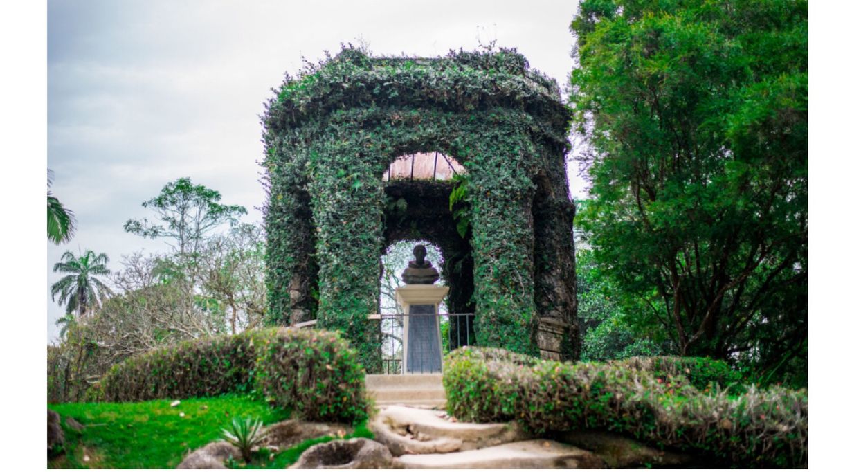 Lugar Jardim Botânico