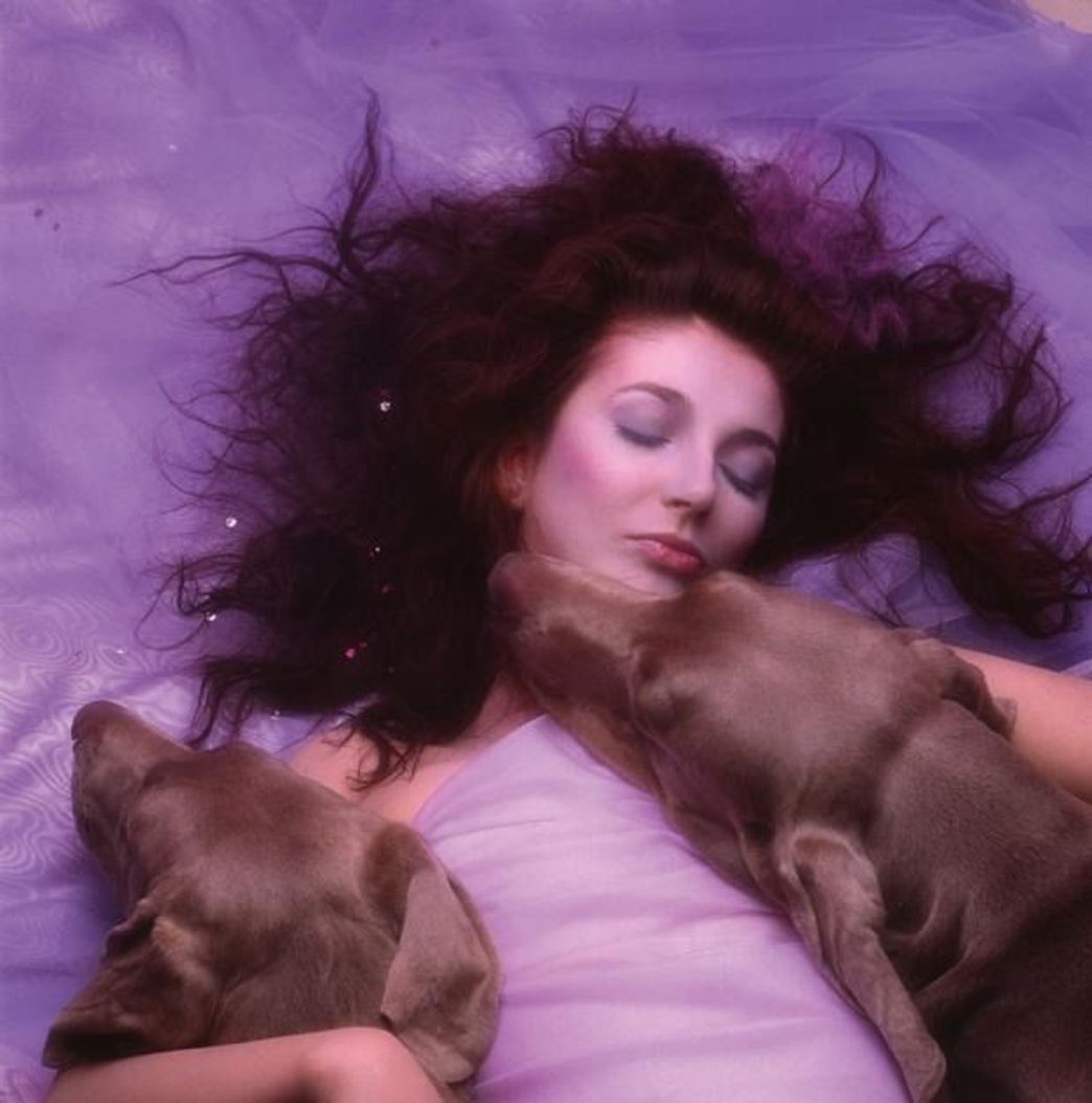 Music Running Up That Hill - Kate Bush