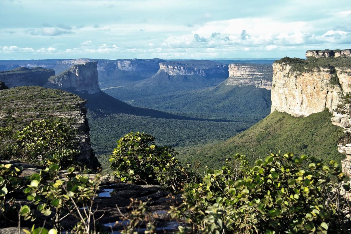 Lugar Chapada Diamantina 