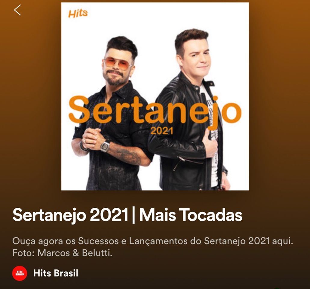 Canción Playlist do Spotify, do perfil “Hits Brasil”