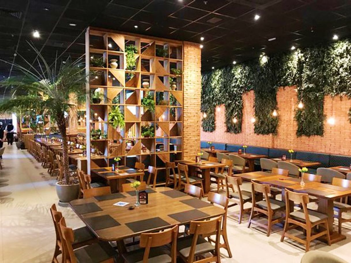 Restaurants Coco Bambu Conceito BH Shopping