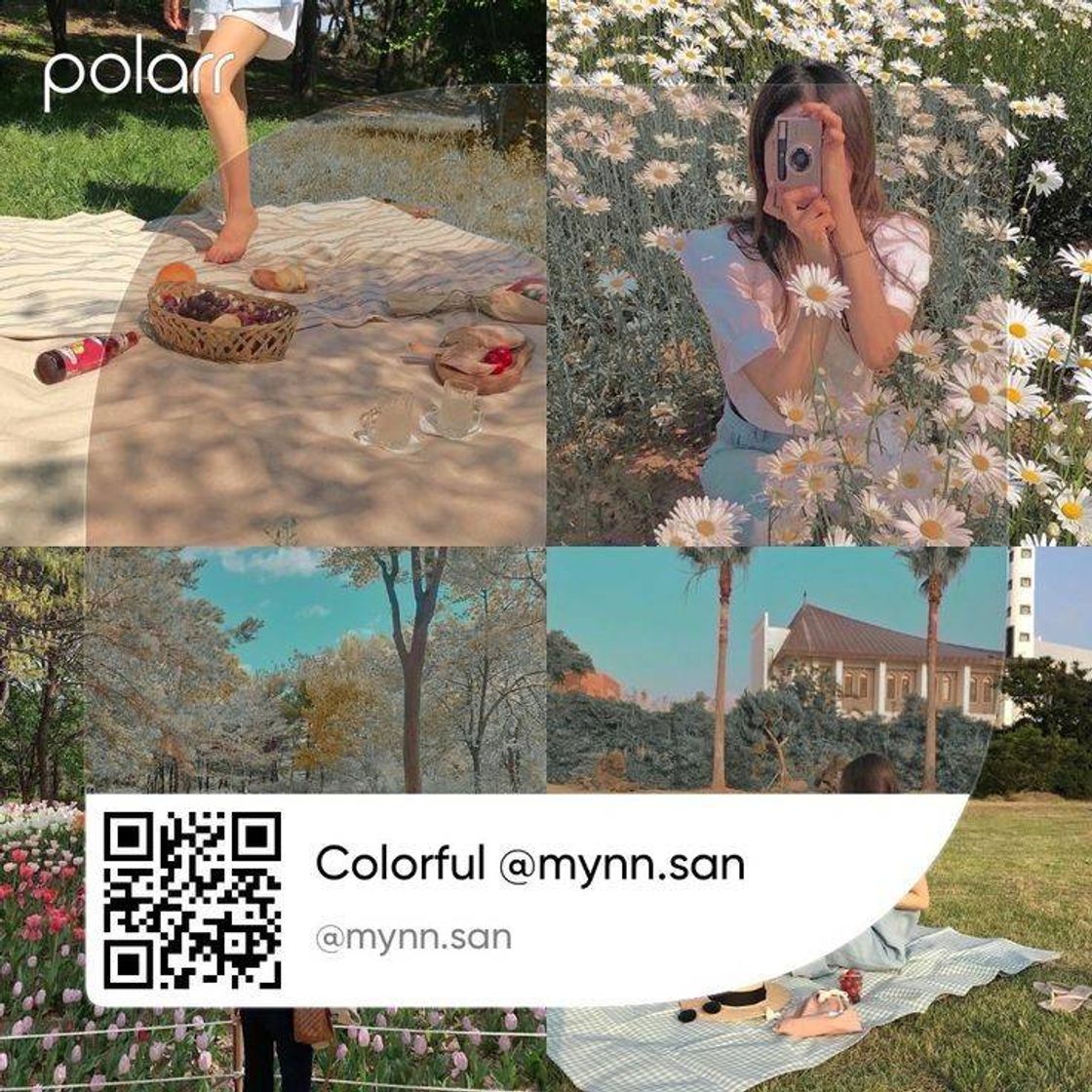 Social Colorful | Polarr filter 
