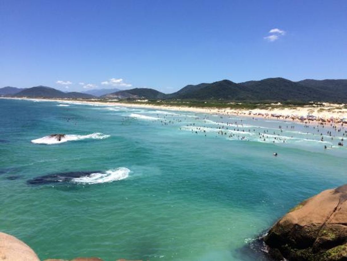 Lugar Playa de Joaquina