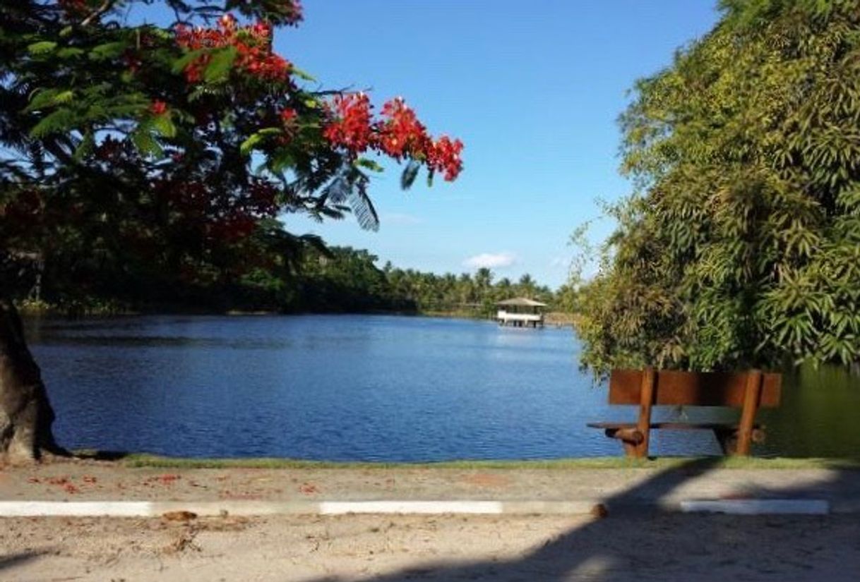 Place Condomínio Lagoa Dourada