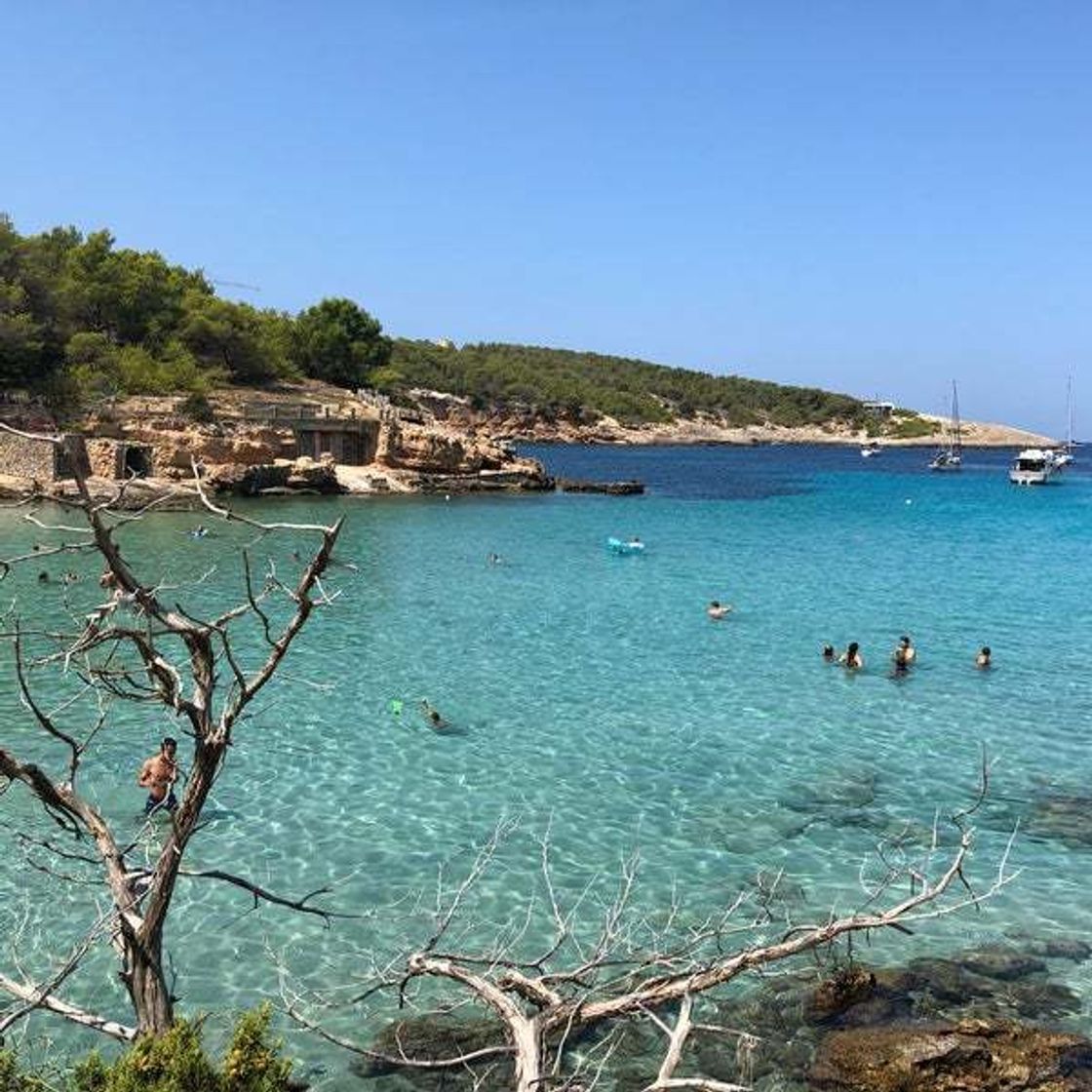 Place Cala Portinatx