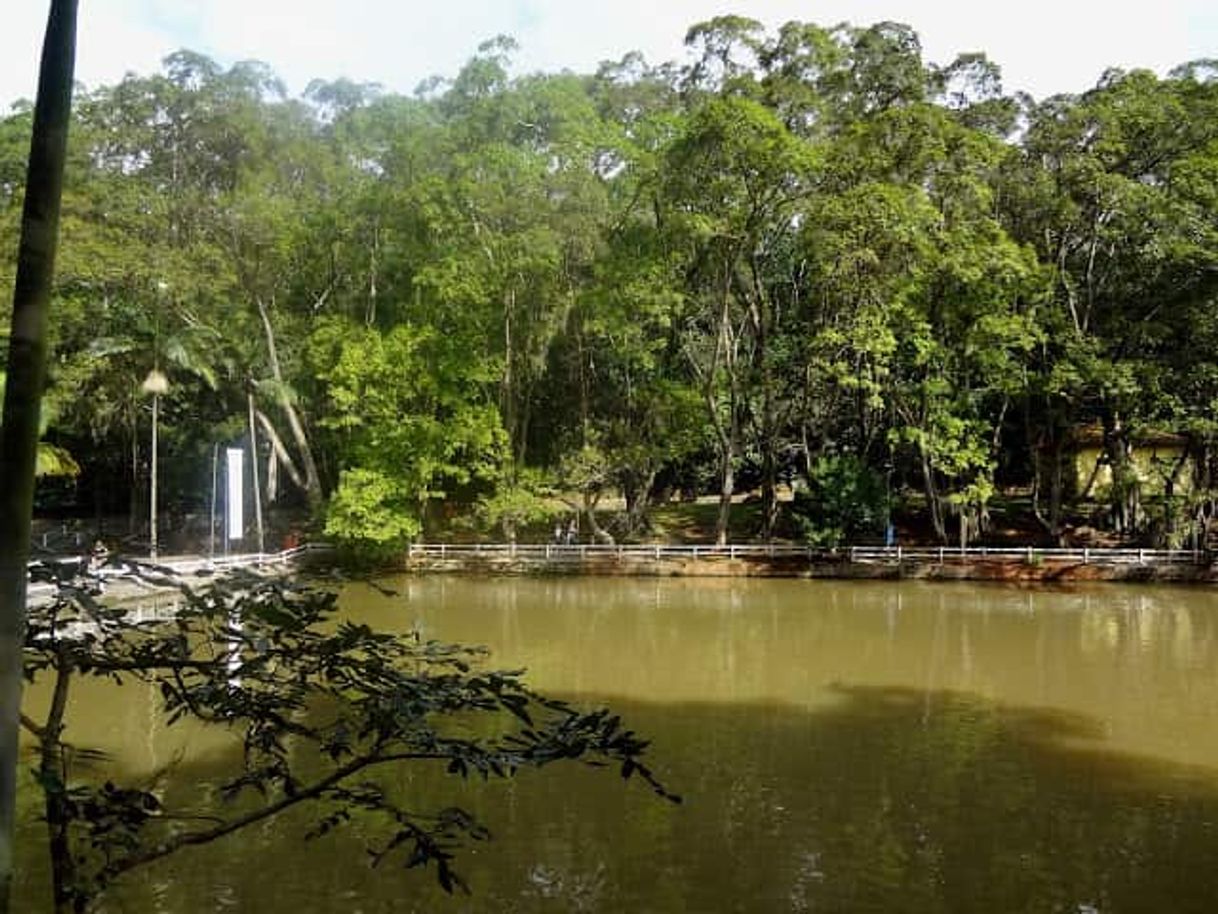 Lugar Horto Florestal-Sao Paulo