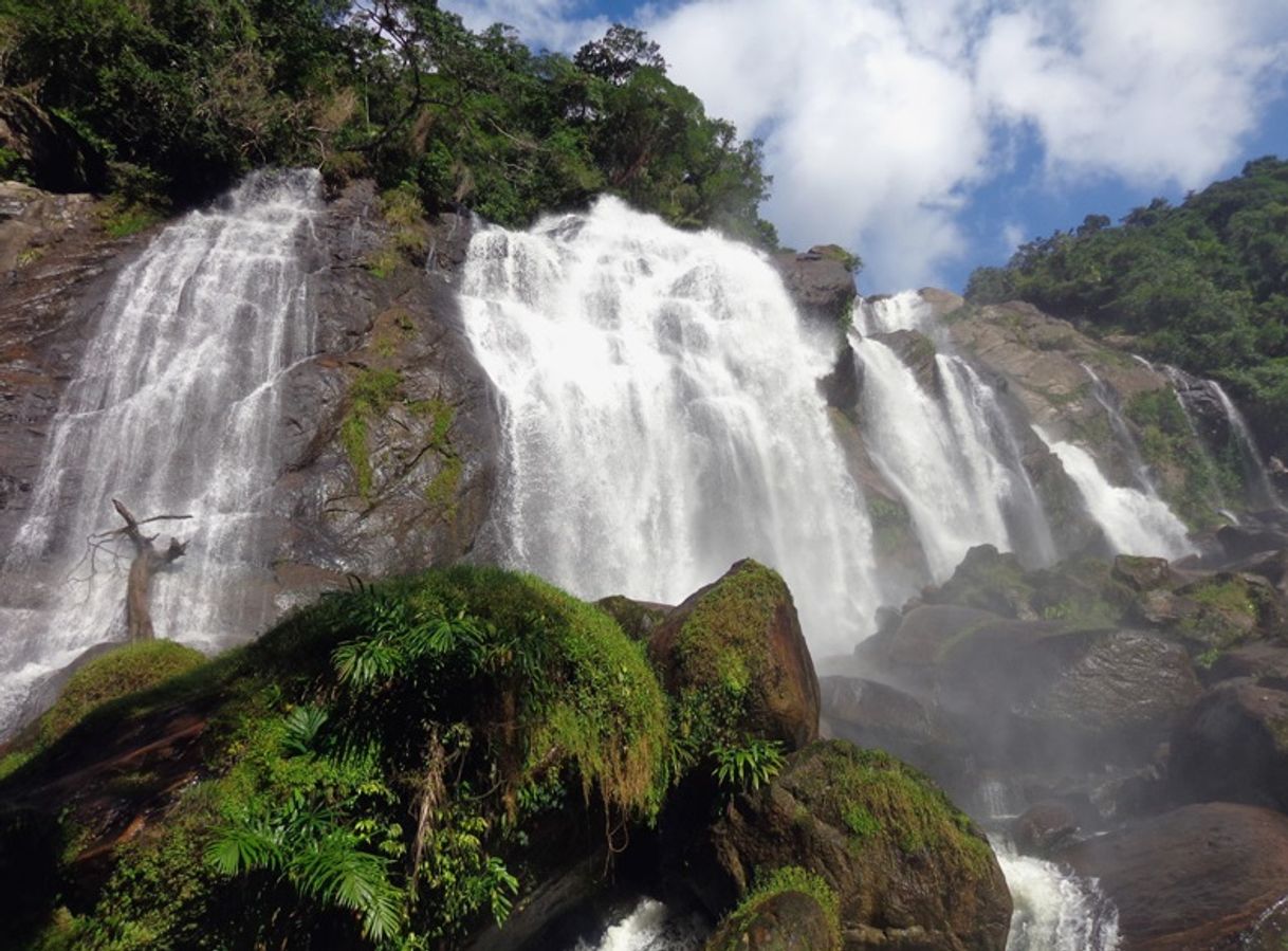 Lugares Trilha Cachoeira Do Elefante