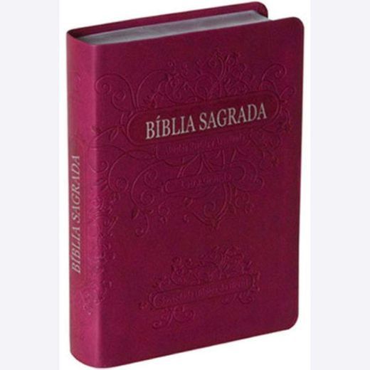 Biblia Sagrada: em português