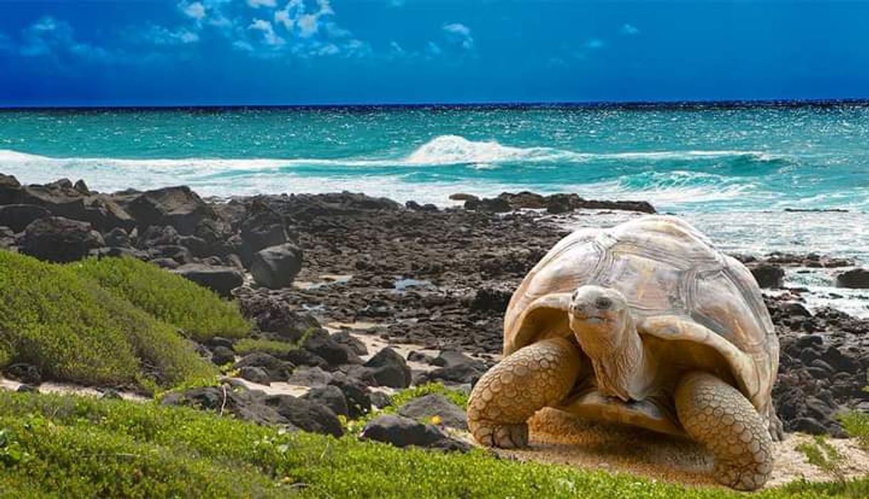 Lugar Galapagos Island