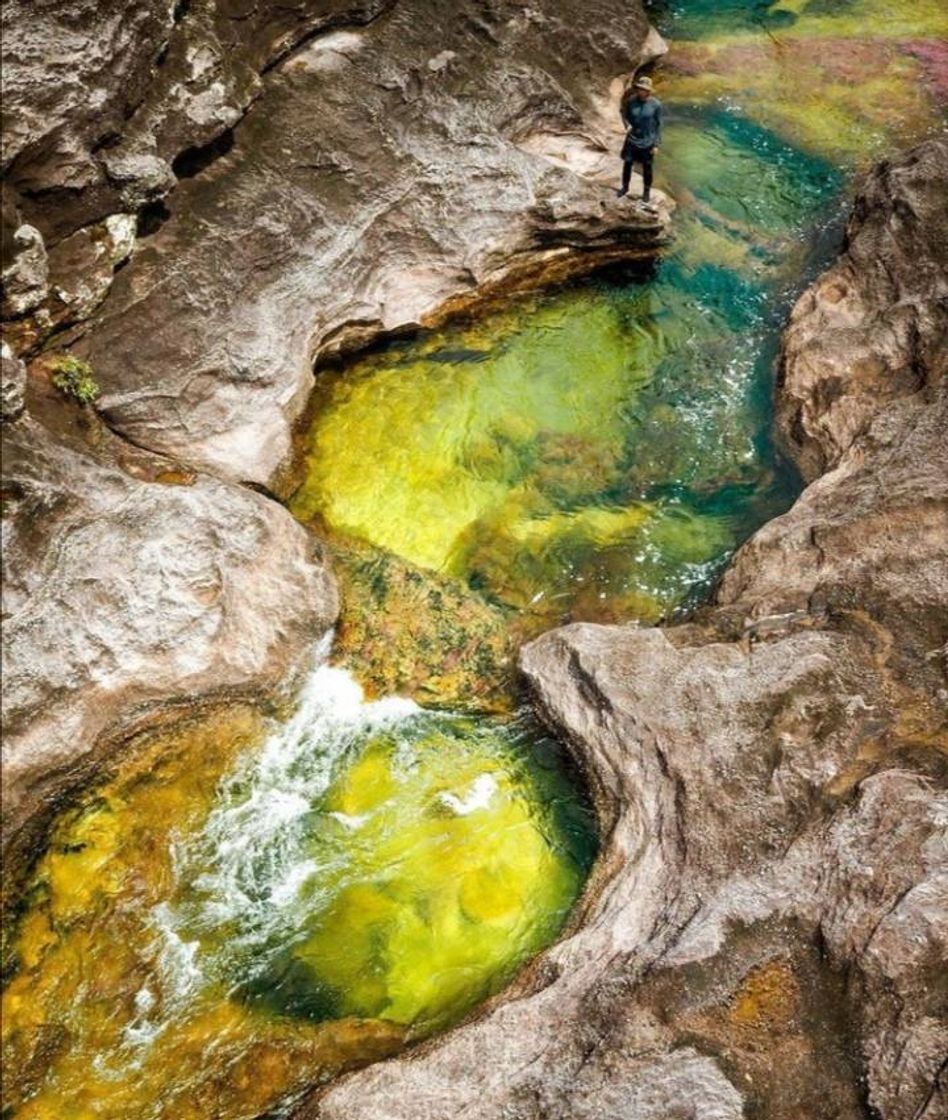 Place Caño Cristal
