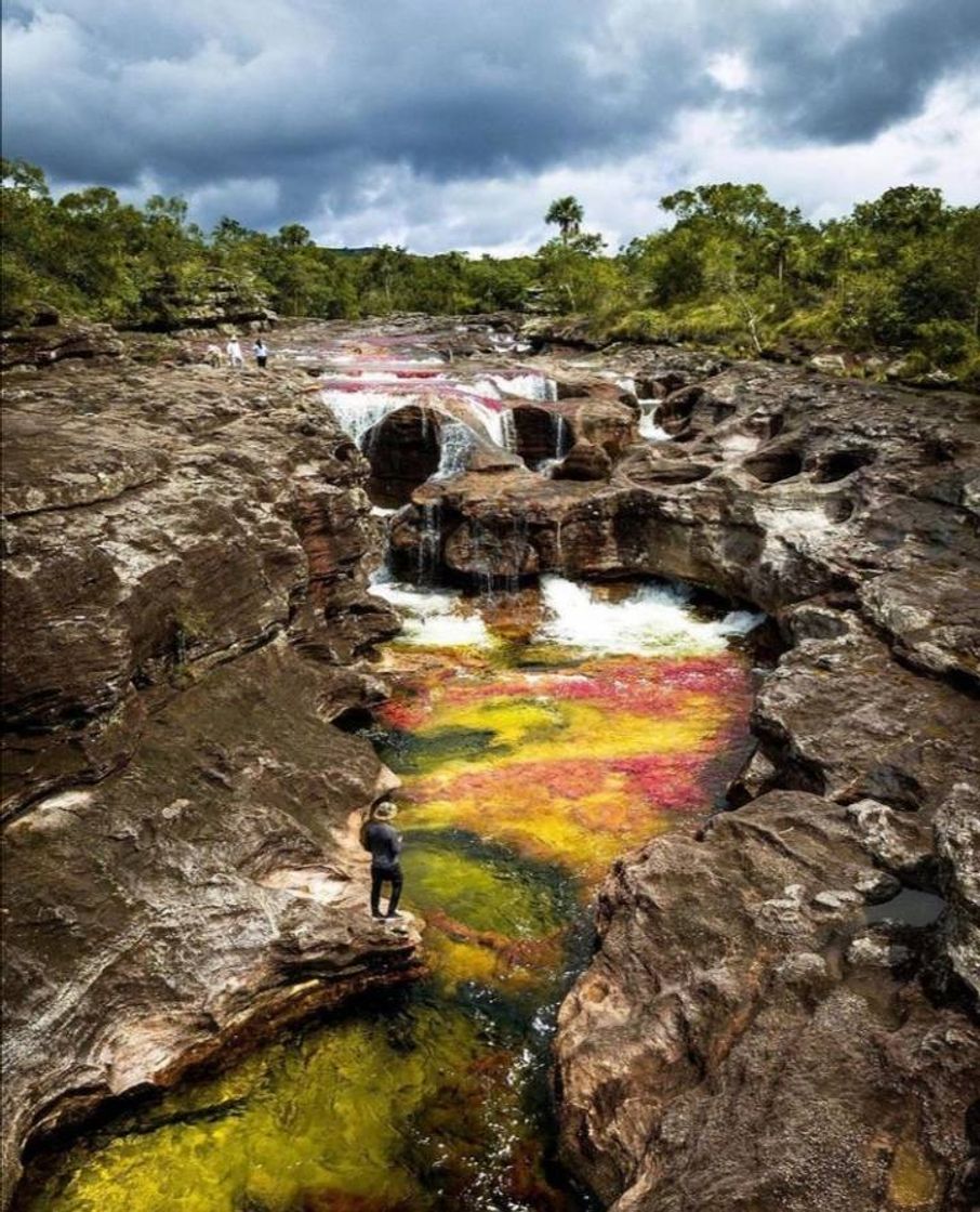 Place Caño Cristales