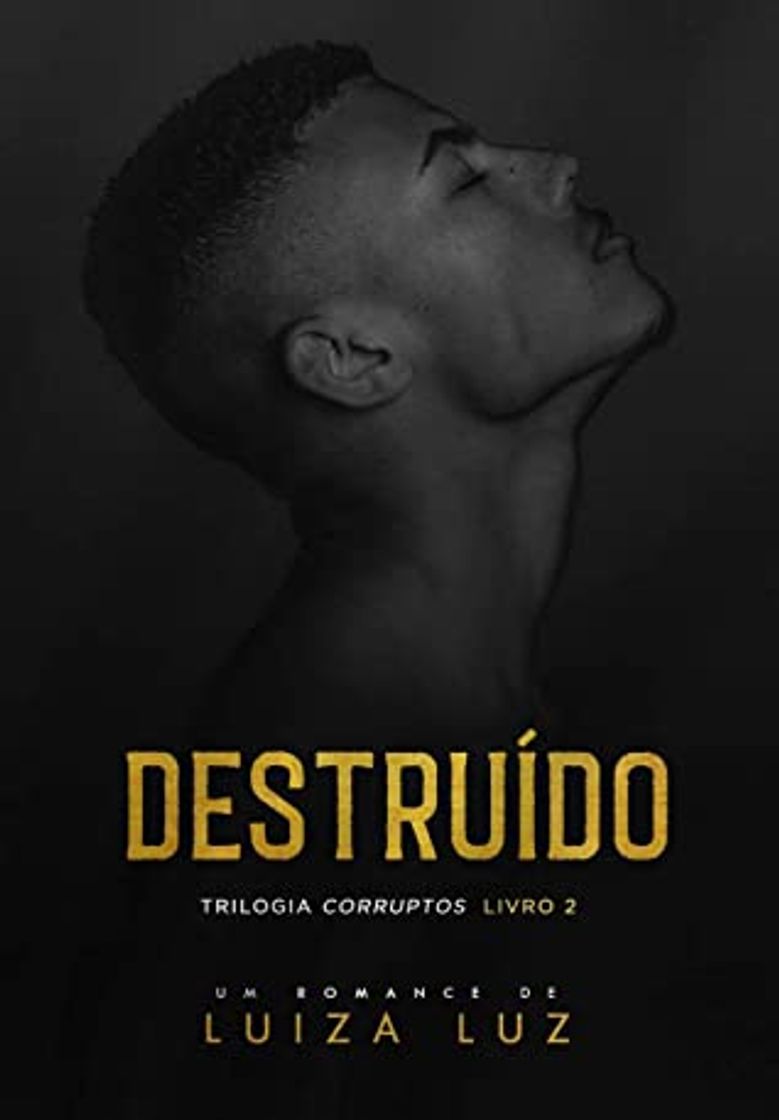 Libro E-book de Destruído, Luiza Luz