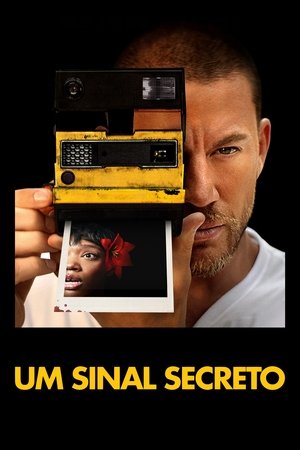 Movie Parpadea dos veces