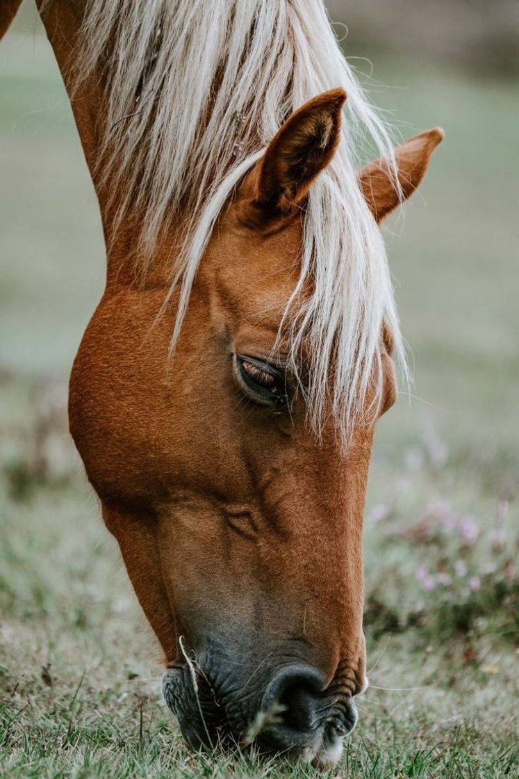 Fashion 🐎♥️