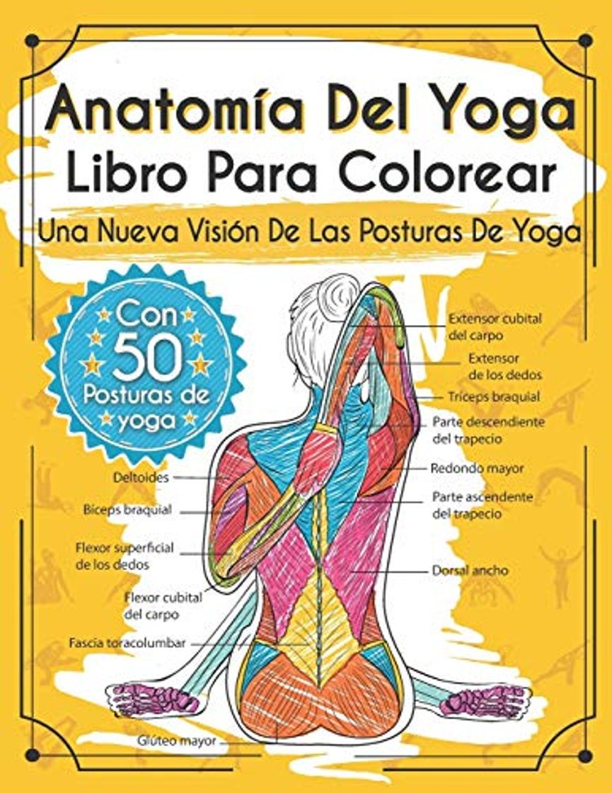 Producto Anatomía Del Yoga Libro Para Colorear