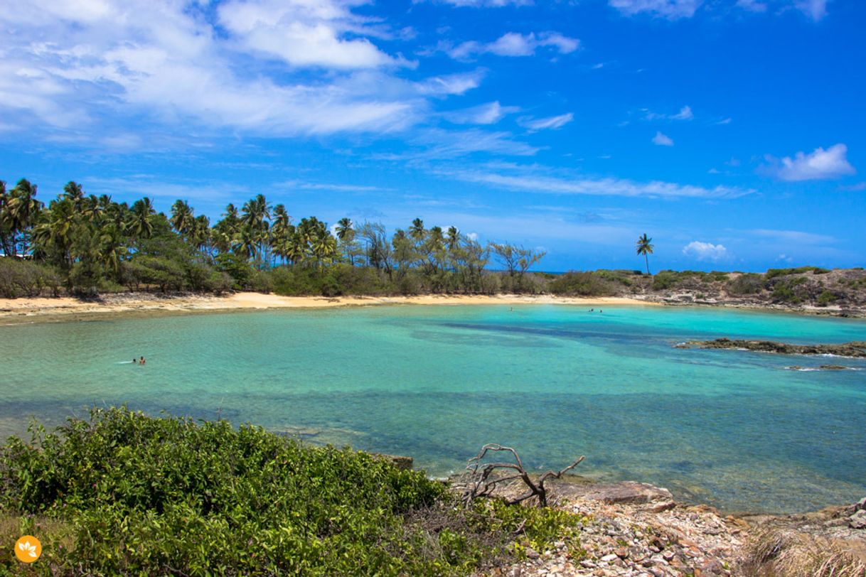 Moda Ilha de Santo Aleixo PE