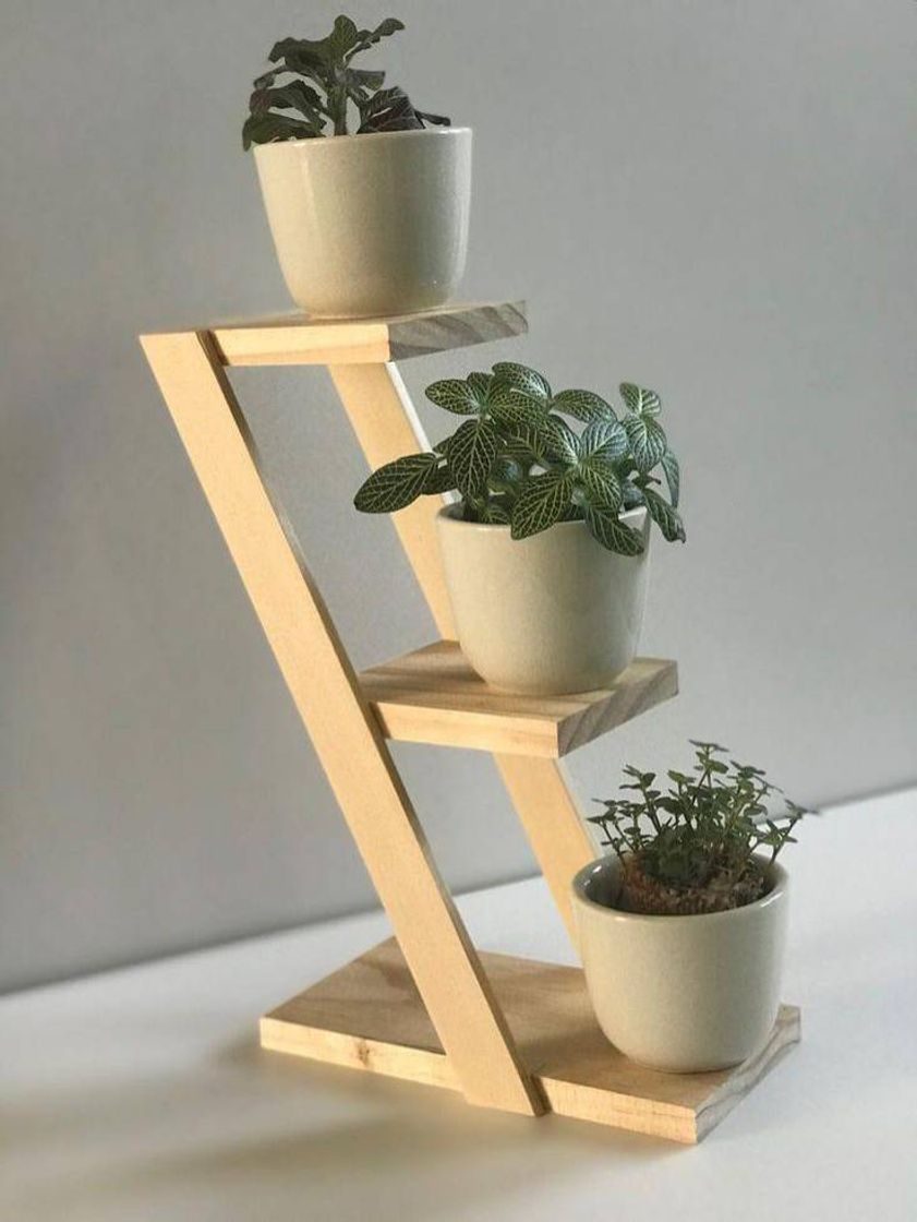 Moda Mais uma idéia para as plantas