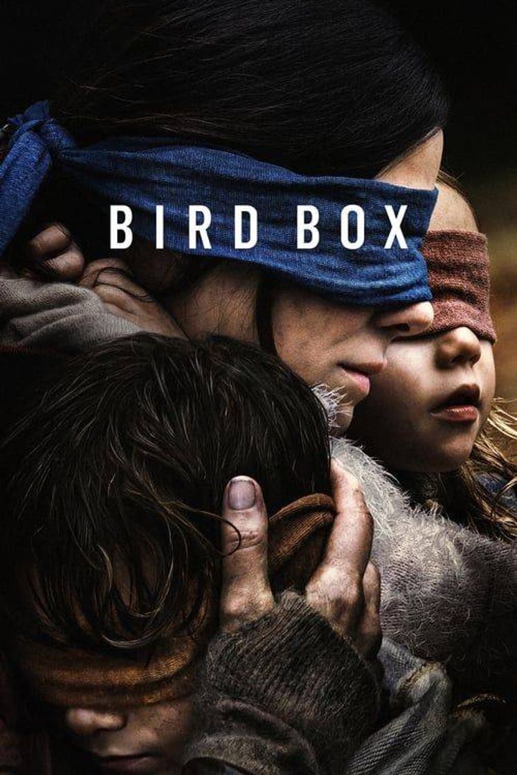 Moda Bird Box 