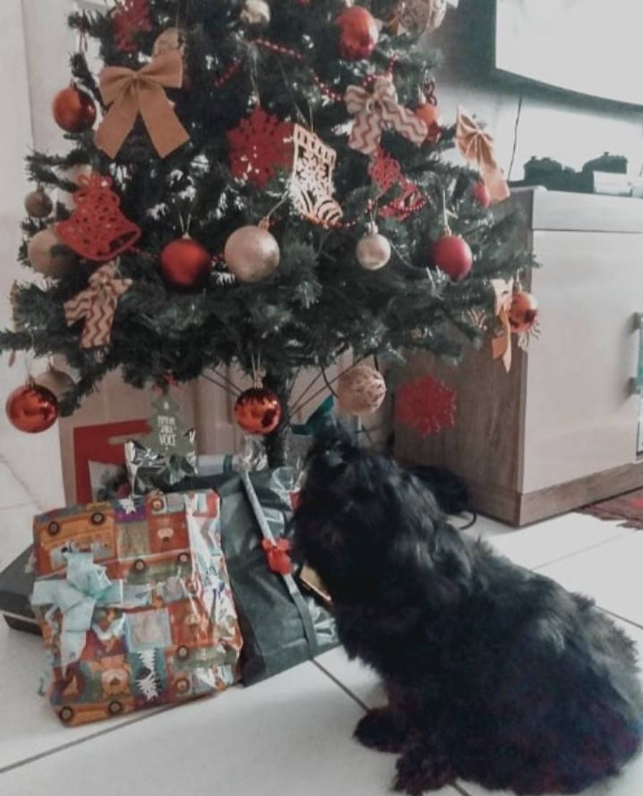 Fashion Árvore de natal 🎄🐶