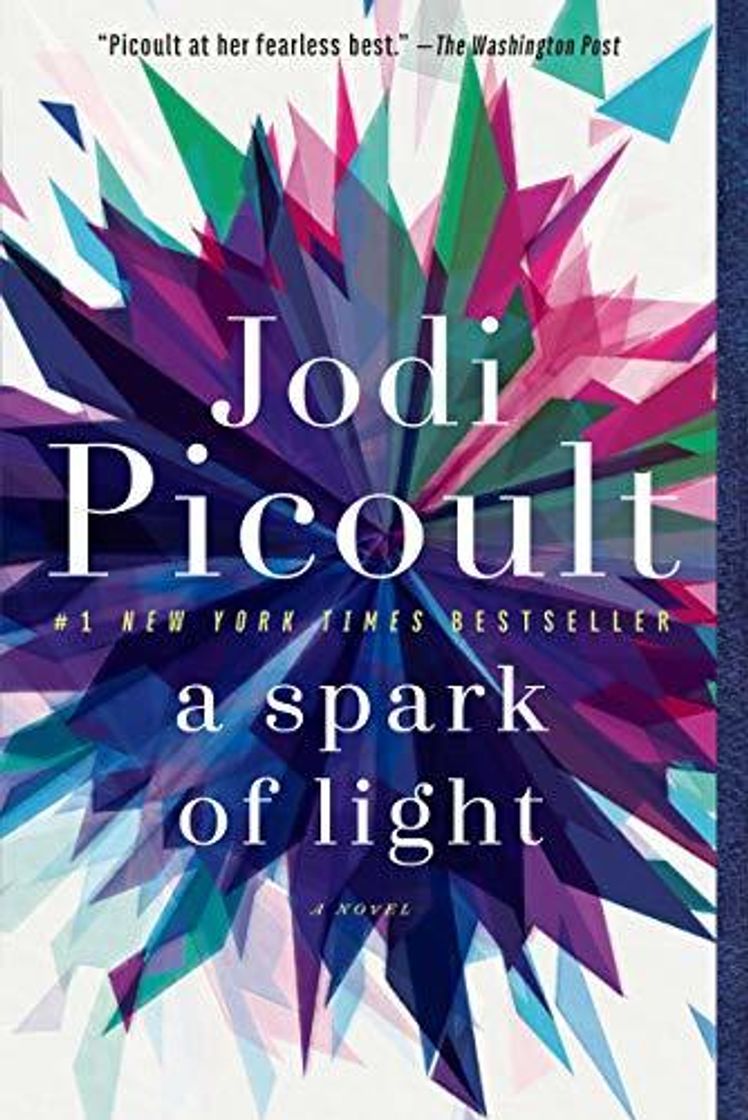 Book A Spark of Light: A Novel