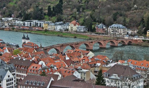 Heidelberg