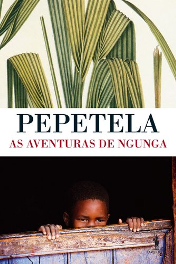 Libro As Aventuras De Ngunga