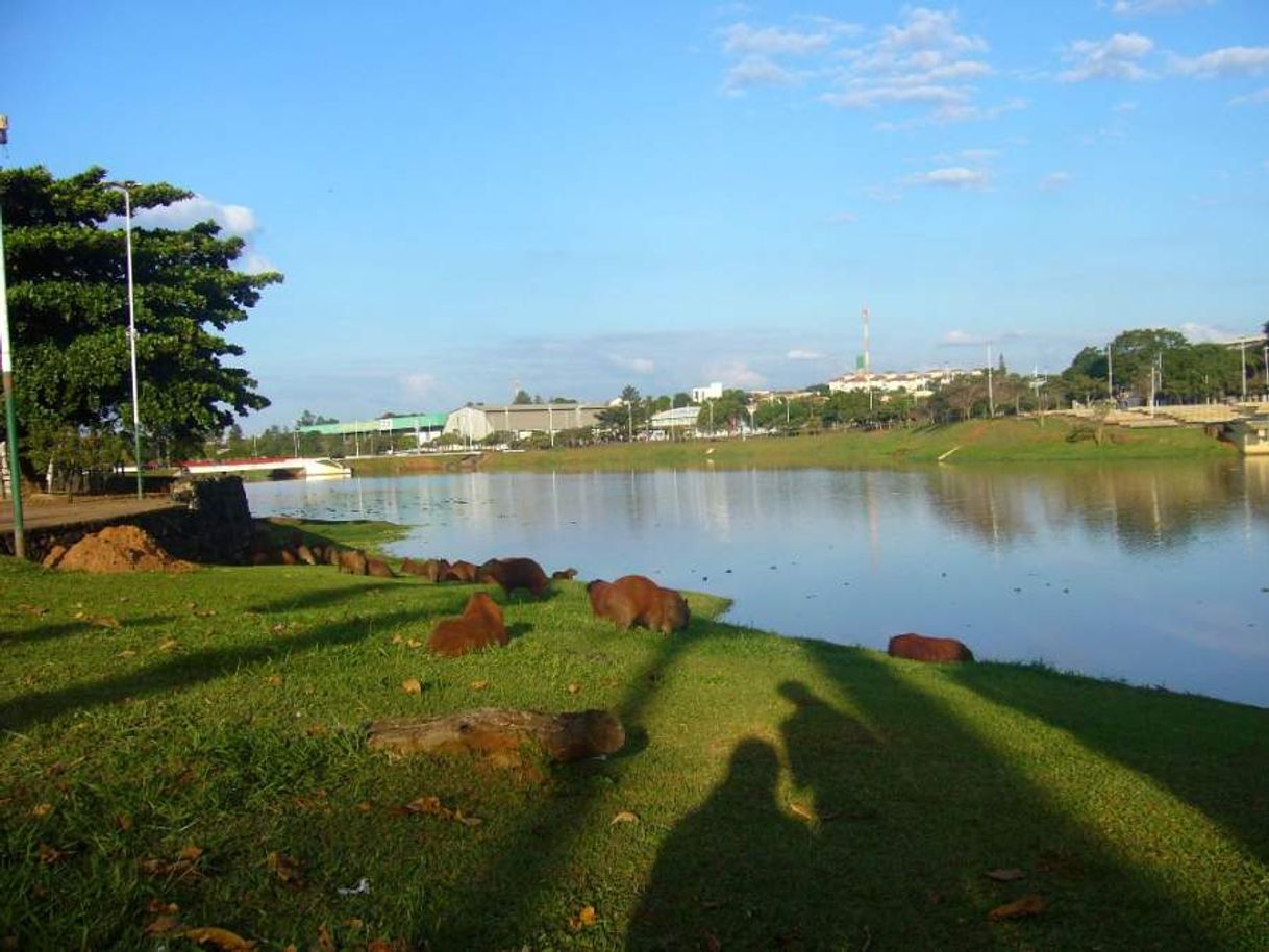 Place São José do Rio Preto