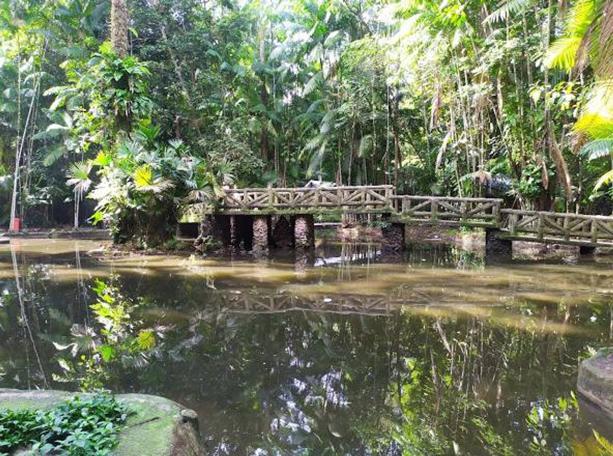 Lugar Bosque Rodrigues Alves Jardim Zoobotânico da Amazônia