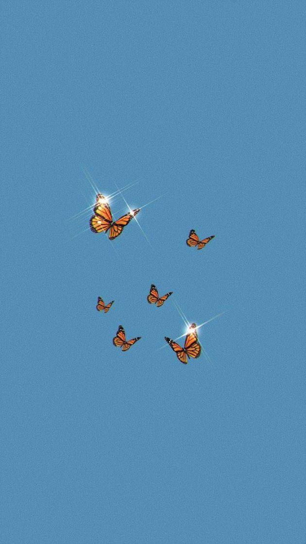 Social Buttlerfly🦋