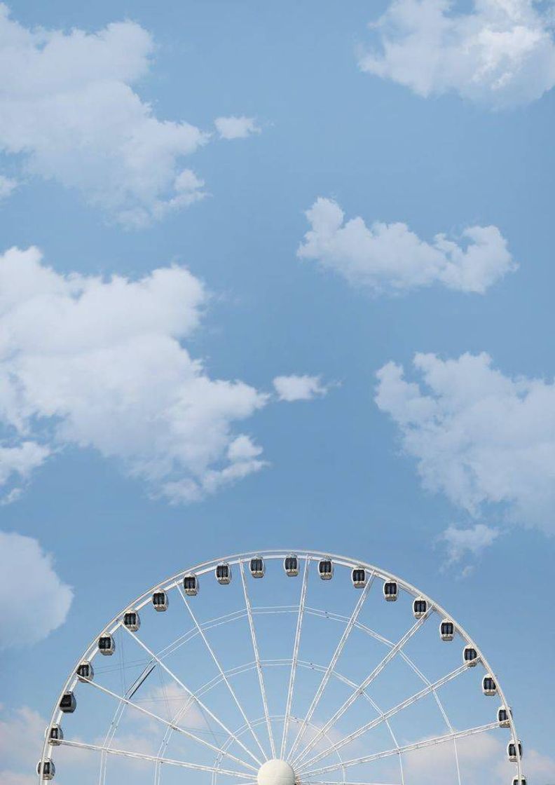 Social FERRIS WHEEL🎡