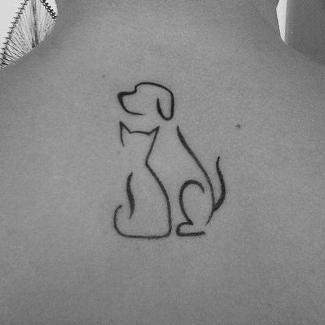Social Pets🐾